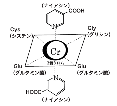 GTFクロムの模式図